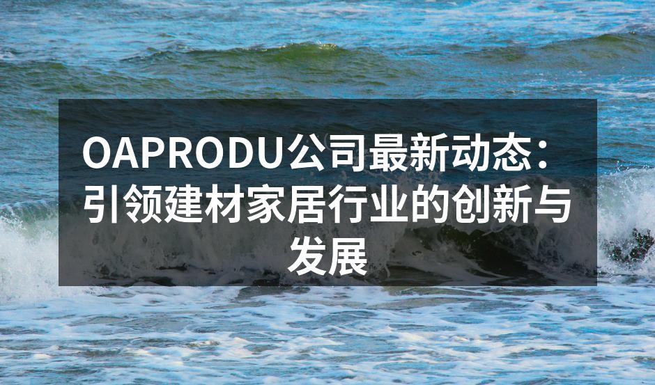 OAPRODU公司展位现场，吸引了众多客户